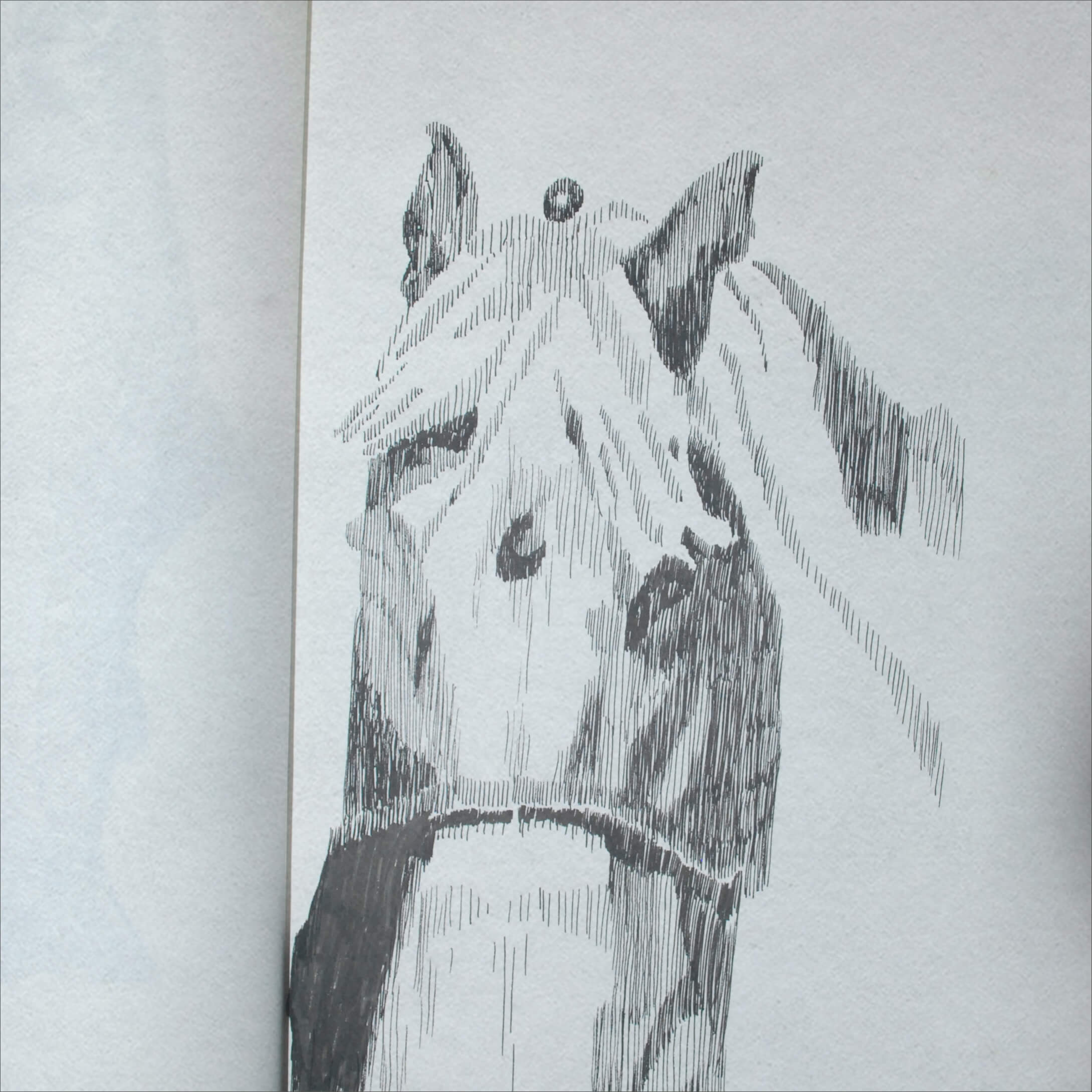 Drawing 11 — Aquatic Contour & Gesture